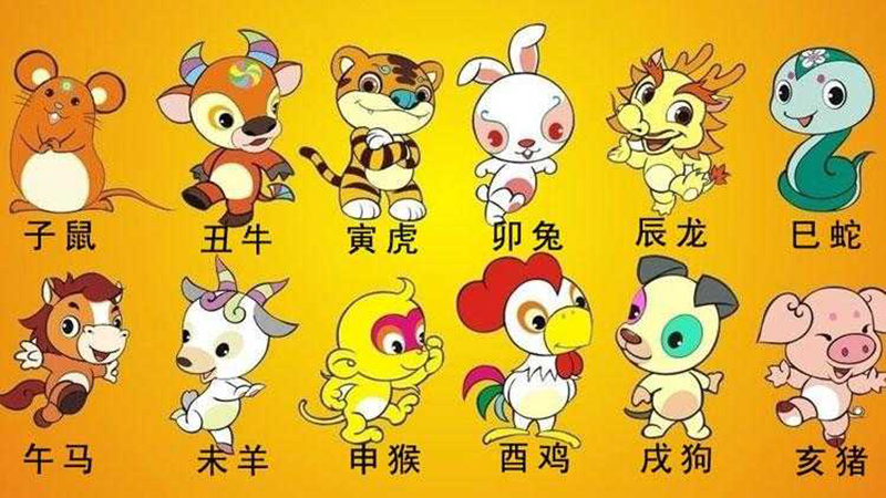 十二生肖花名是什么，详细解释