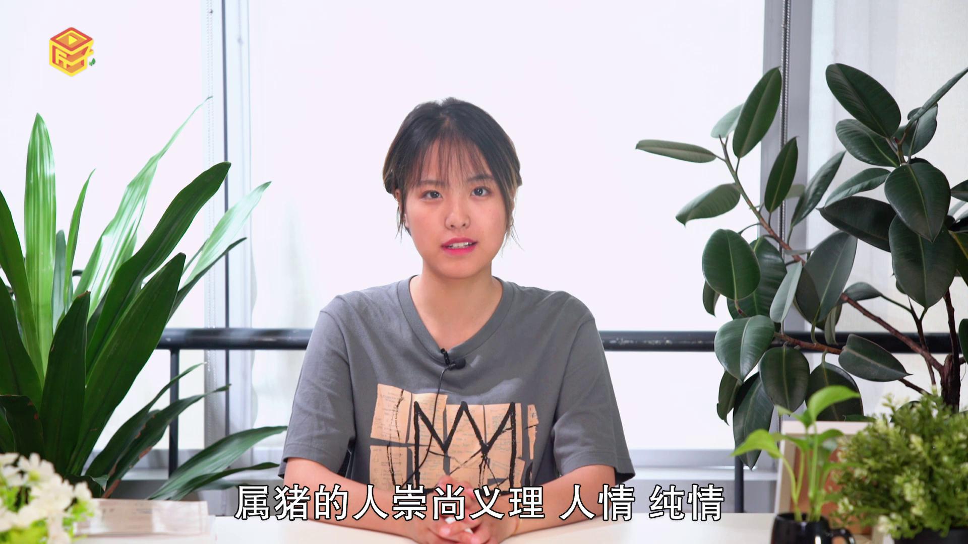 属猪的和什么属相合适，详细介绍