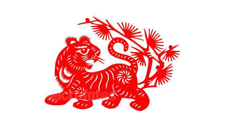 寅虎是哪一年，标准答案