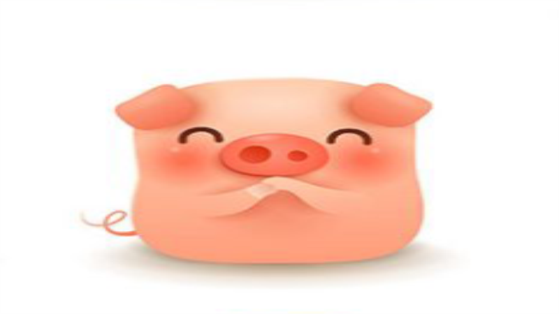 女马和男猪相配吗，最佳答案