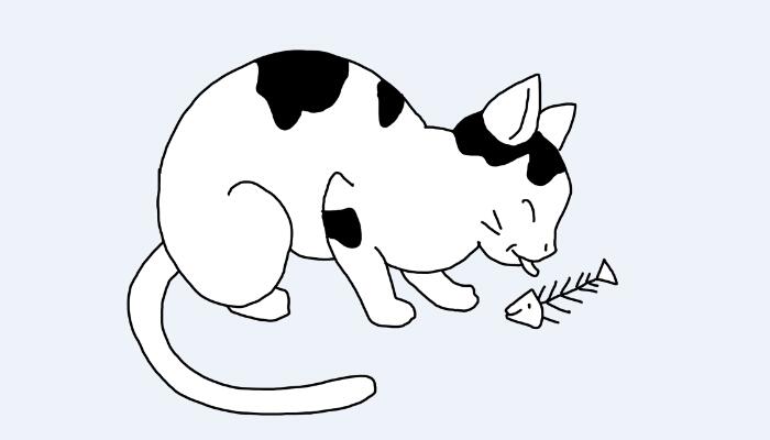 做梦梦见猫吃鱼