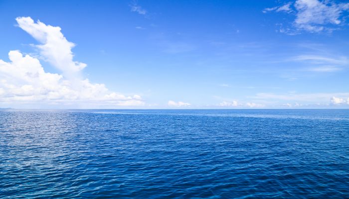 做梦梦见海洋是什么意思 做梦梦见海洋有什么预兆
