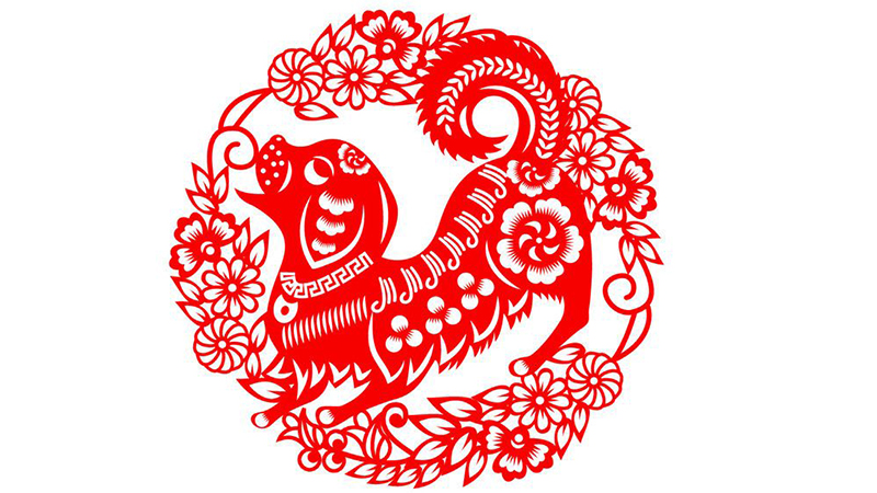 属鸡的和属狗的合不合，最佳答案
