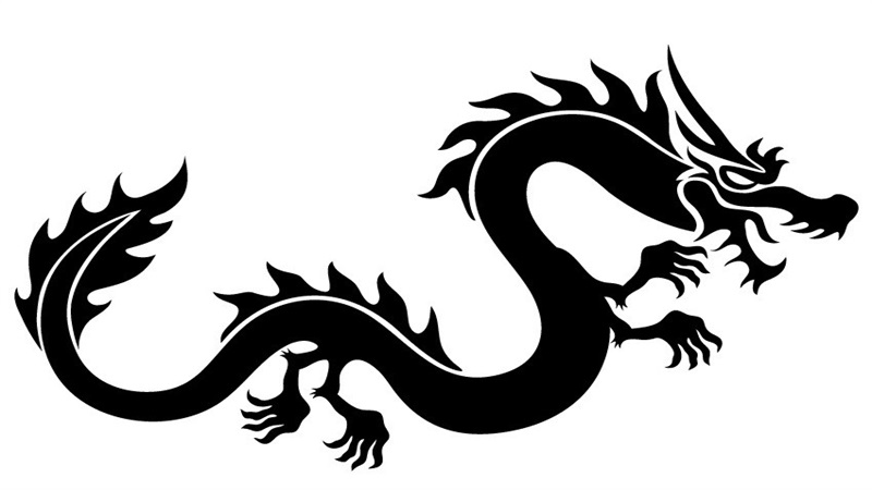 属龙人出生月的命运，标准答案