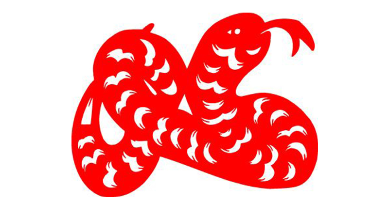 蛇与猪合不合，详细解释