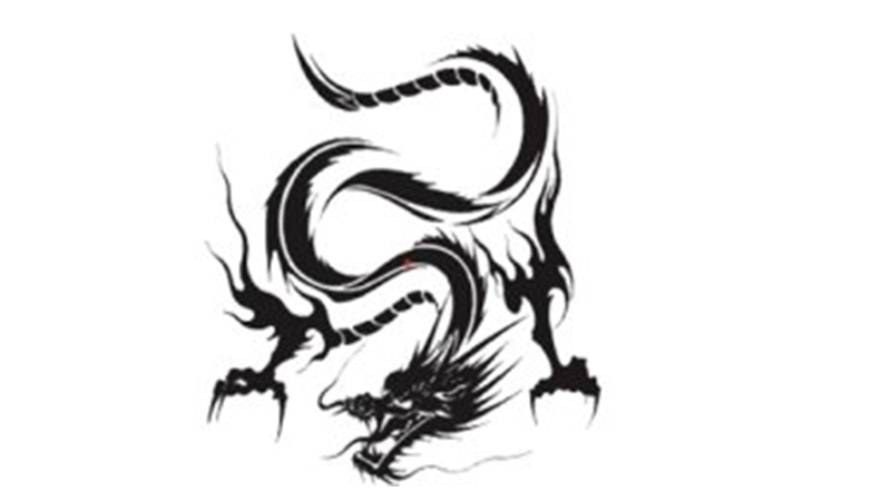 88年龙和91年羊相配吗，标准答案