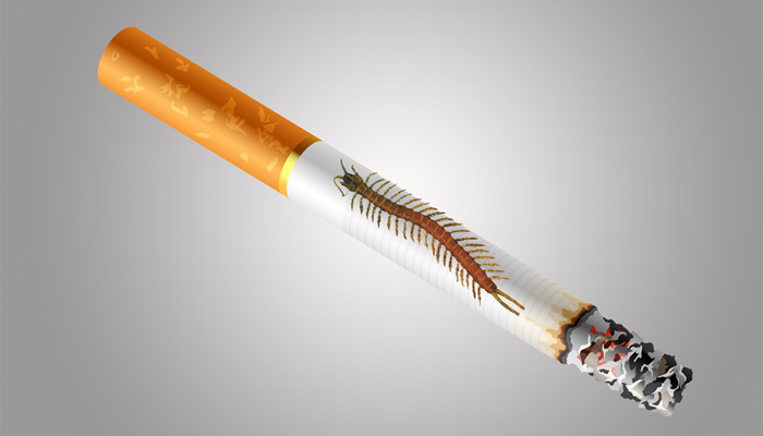 做梦梦见不断有蜈蚣