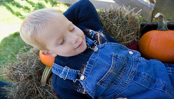 做梦梦见树上结满果子是什么意思 做梦梦见树上结满果子有什么预兆