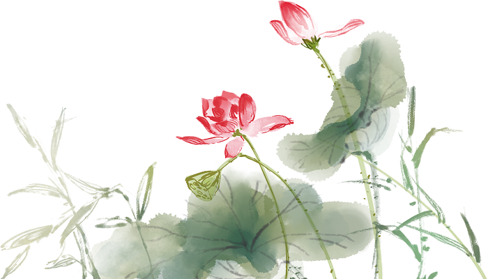 做梦梦见摘荷花是什么意思 做梦梦见摘荷花有什么预兆