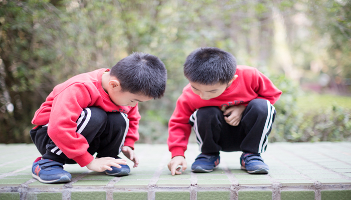 做梦梦见双胞胎男孩