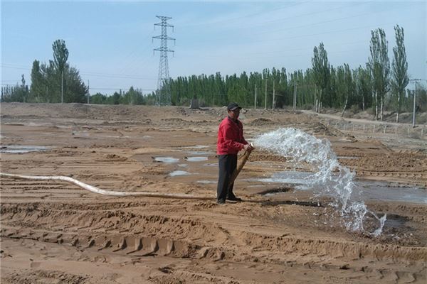 做梦梦见灌溉 浇水 浇地是什么意思 做梦梦见灌溉 浇水 浇地有什么预兆