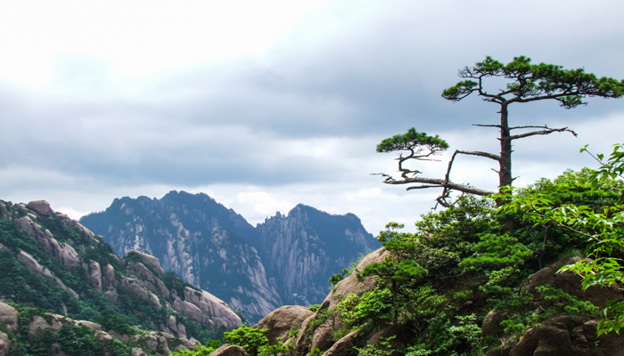 做梦梦见在山顶
