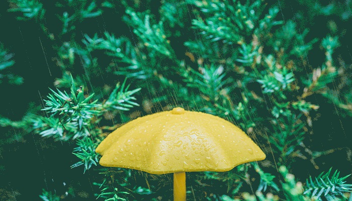 做梦梦见天下雨是什么意思 做梦梦见天下雨有什么预兆