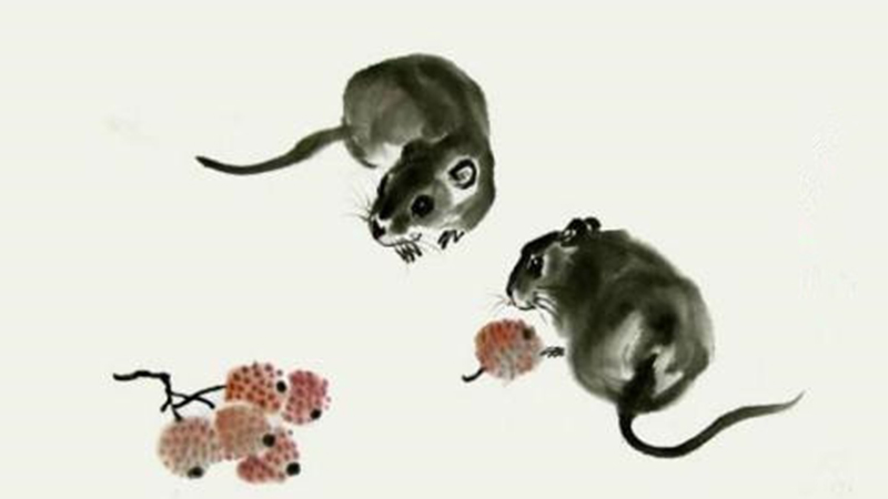 十二生肖大者开猜鼠生肖，最佳答案