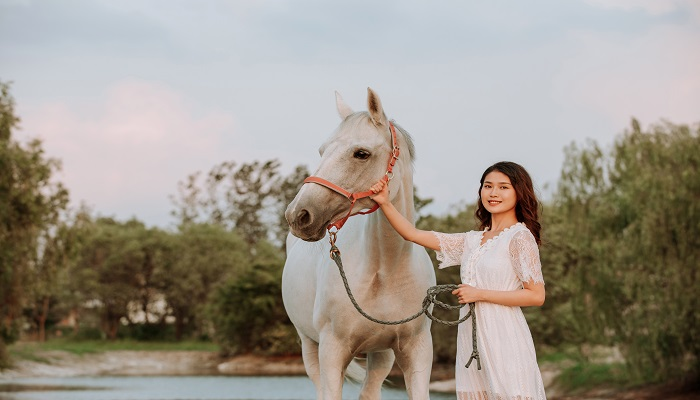 做梦梦见马拴在院子里是什么意思 做梦梦见马拴在院子里有什么预兆