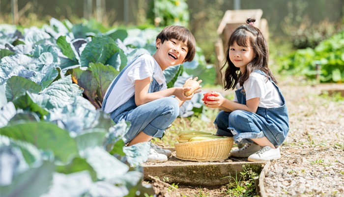 做梦梦见菜地种着各种蔬菜