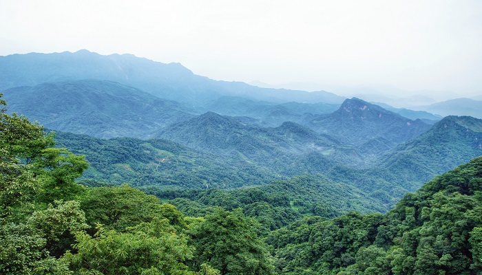 做梦梦见大山塌了什么意思
