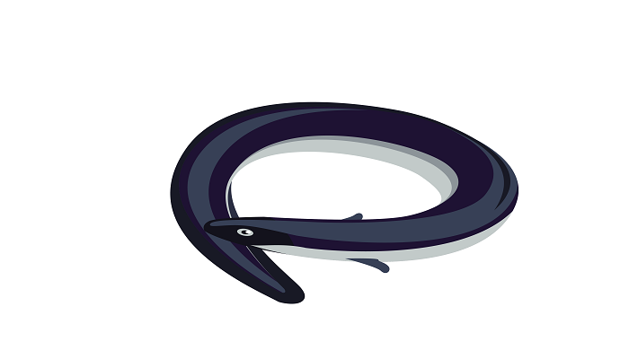 做梦梦见泥鳅是什么意思 做梦梦见泥鳅有什么预兆