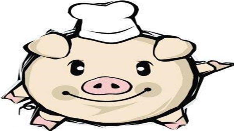 12生肖夜肖是指哪几肖，最佳答案