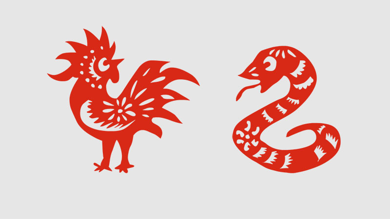 属蛇跟属鸡的人结婚属相合不合，最佳答案