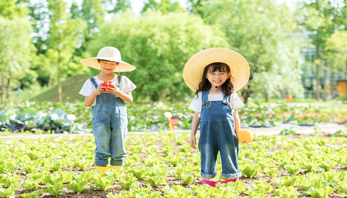 做梦梦见两个小孩一男一女