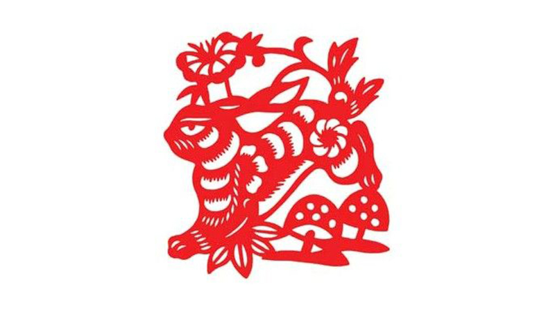 32岁兔今年运势，最多人赞同的观点