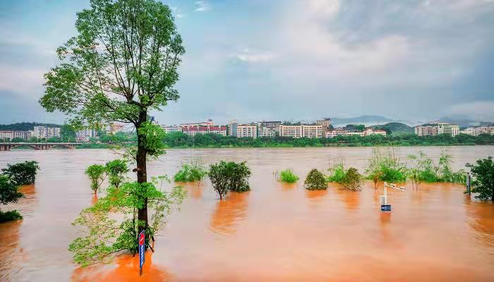 做梦梦见自己掉河里了是什么意思