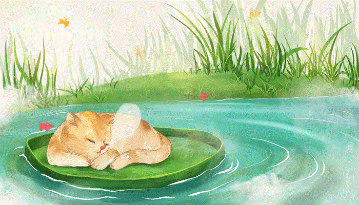 做梦梦见大黄猫