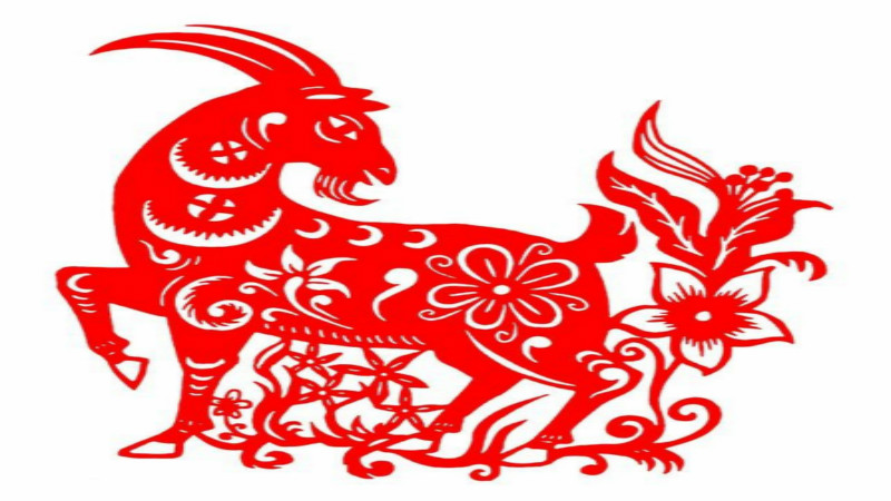 属蛇和属羊的合财吗，标准答案