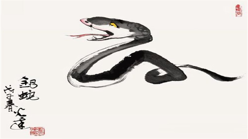 什么生肖最旺狗，详细解释