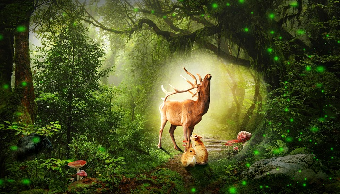 做梦梦见鹿进家是什么意思 做梦梦见鹿进家有什么预兆