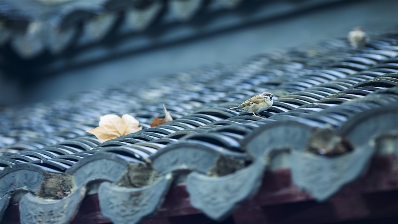 做梦梦见屋顶破了个洞是什么意思