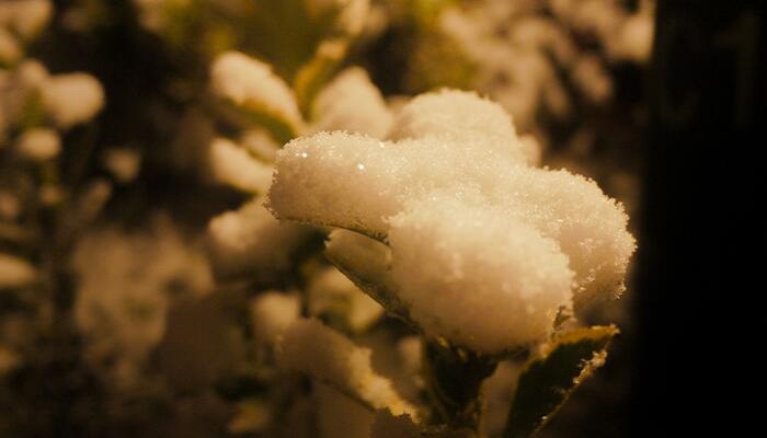 做梦梦见雨夹雪
