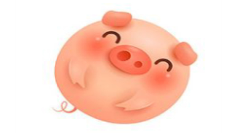属猪2016年运势及运程，最多人赞同的观点