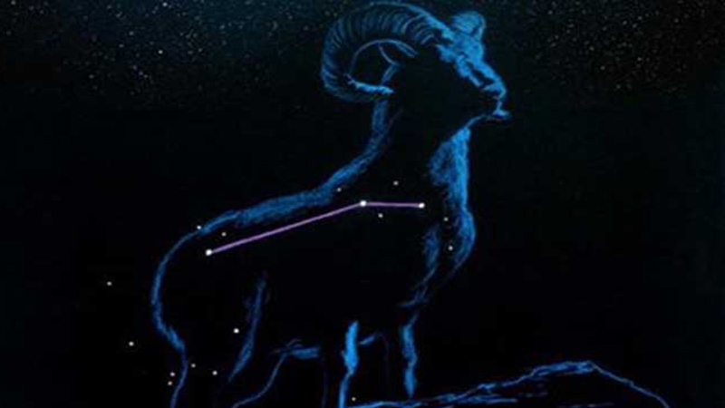 最自私的星座，标准答案
