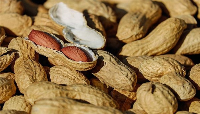 做梦梦见摘花生是什么意思 做梦梦见摘花生有什么预兆