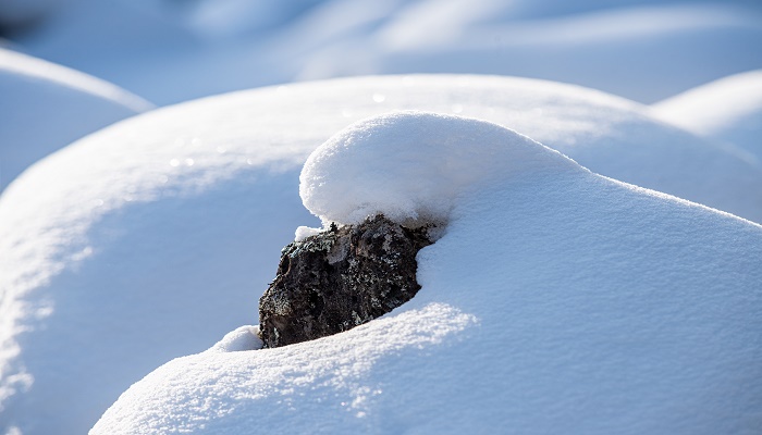 做梦梦见雪球往下滚