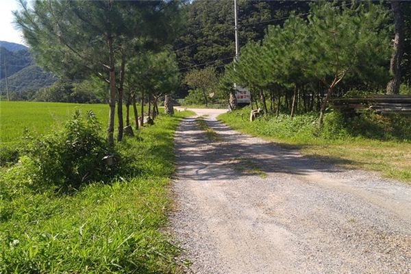 做梦梦见路断了是什么意思 做梦梦见路断了有什么预兆