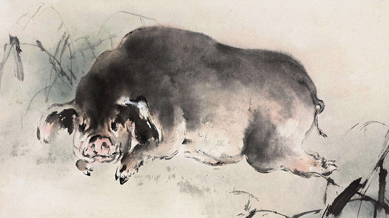 属猪的2019年可以结婚吗，详细介绍