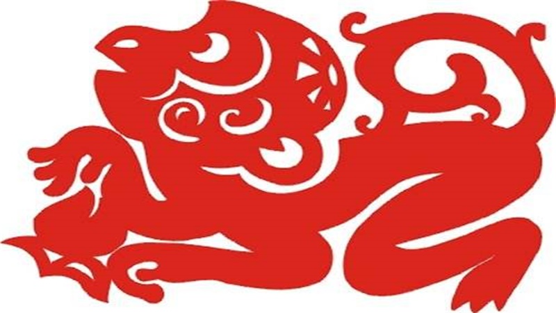 猴的生肖年份，标准答案