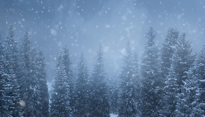 做梦梦见下雪是什么意思?
