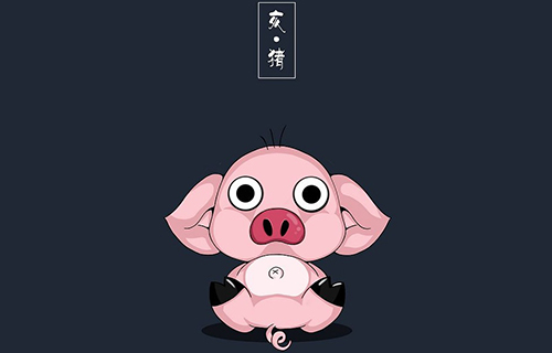 48岁的猪2019年的运气，标准答案
