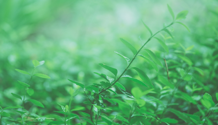 做梦梦见自己用手拔草连根拔起