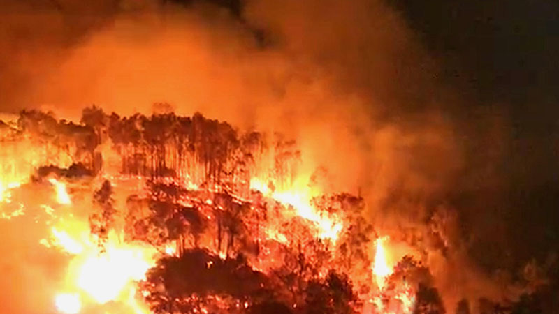 做梦梦见山上着火了是什么意思