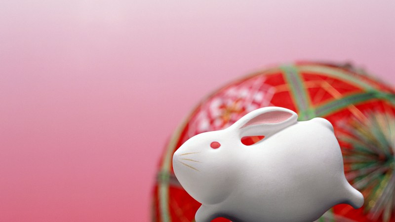 2011年属兔几月出生好，最佳答案