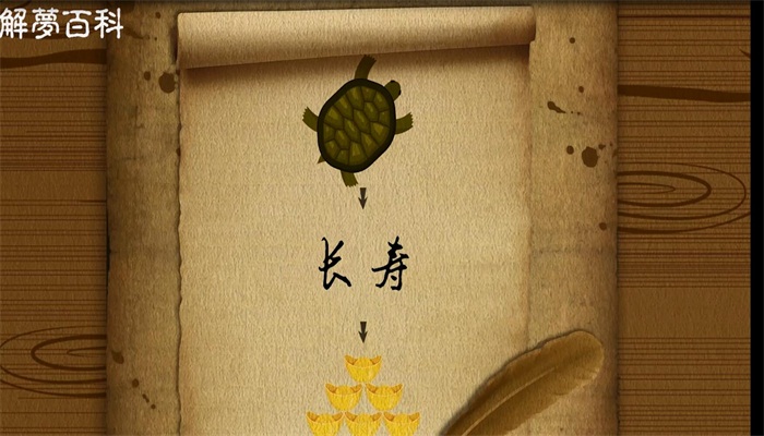 做梦梦见乌龟是什么意思呢
