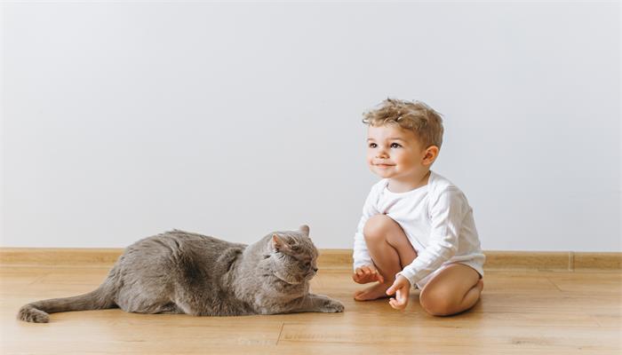 做梦梦见猫说话