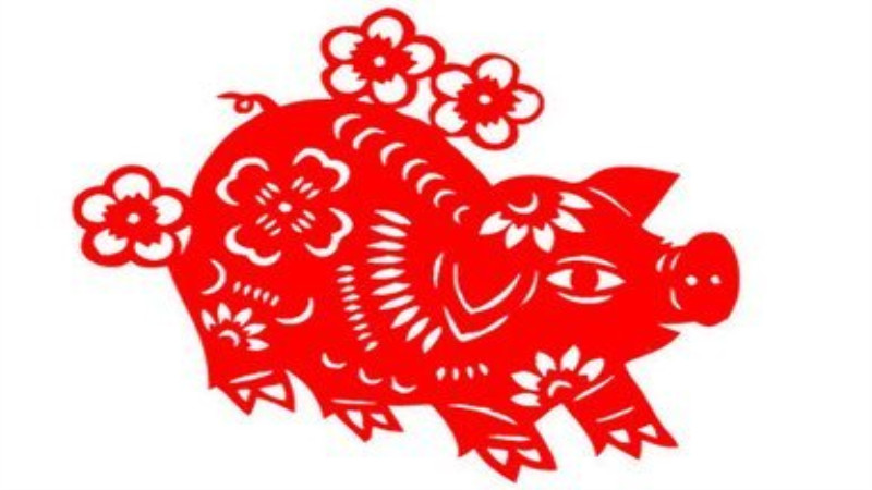 2007年属什么生肖几岁，最多人赞同的观点