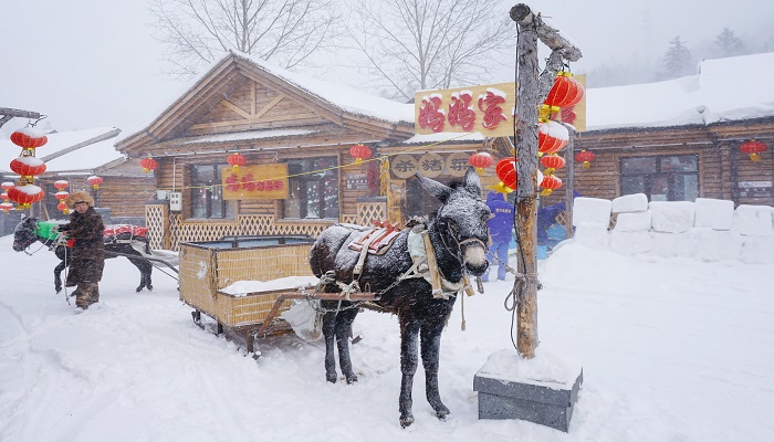 女人梦到夏天下雪是什么意思 女人梦到夏天下雪有什么预兆