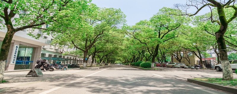 做梦梦见槐花开满树是什么意思